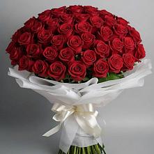 Букет 101 Красная роза Блэк Мэджик в Дементьево