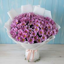 Букет цветов из:  Хризантемы #REPLACE_PRED# Дементьево