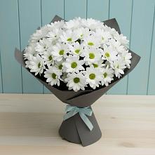 Букет цветов из:  Хризантемы #REPLACE_PRED# Дементьево