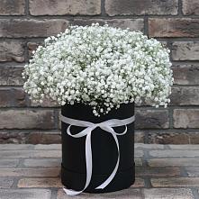 Цветочная композиция из Гипсофила в шляпной коробке #REPLACE_PRED# Дементьево