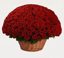 Премиум букет из: Розы в Дементьево